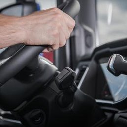 ������, �������, 45 ���