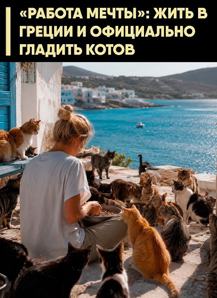��������� ������� ����� SyrosCats ������ ����� ��������� �� 2027 ���. �������� ������� ���������� ...