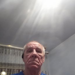 , 61, 