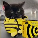 ���� ����, ������ �����, 20 ��� - ��������� 27 ������ 2024 � ������ ���� ����������