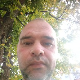 , 40, 