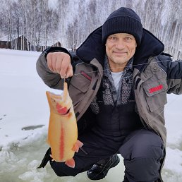 ���� �����, ���������, 54 ���� - ��������� 10 ������ 2024