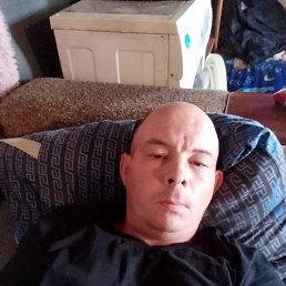 , 37 , 