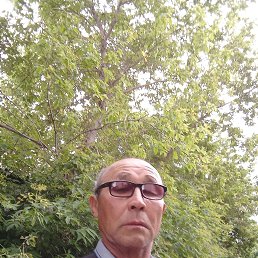 , 59, 