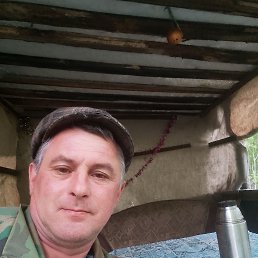  , 53 ,  