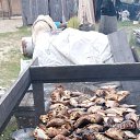 ���� ���������, �������������, 62 ���� - ��������� 1 ������� 2026