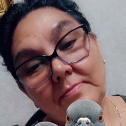 , 58, 
