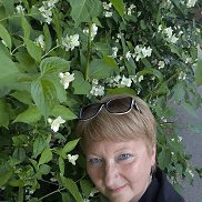 ������, 56 ���, ������