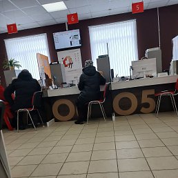 ���� ����, �������, 62 ���� - ��������� 14 ������� 2026