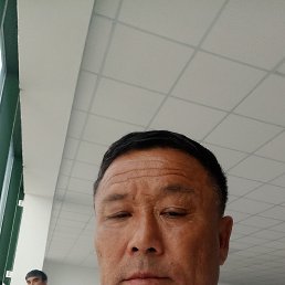 , 54, 