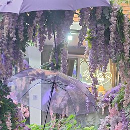 Nataliia, ��������, 55 ���