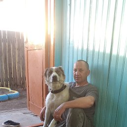 , 39, 