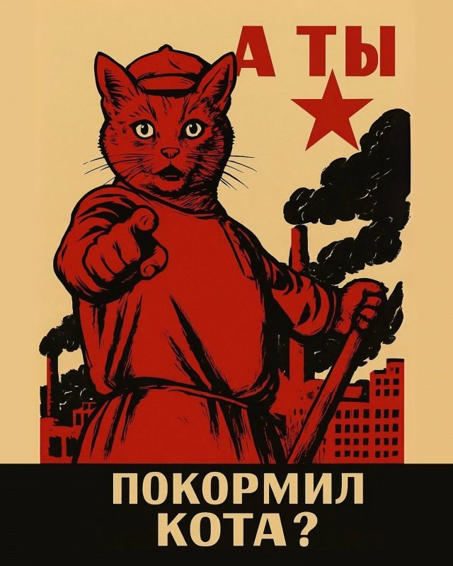   - 14  2025  17:29