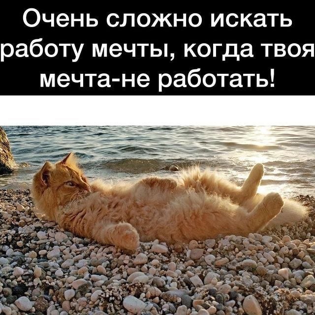 ОБО ВСЕМ - 24 октября 2025 в 13:24