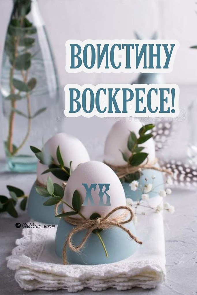 ����������� � ���������, �������� �� ������ ����. - 12 ������ 2026 � 00:45 - 2