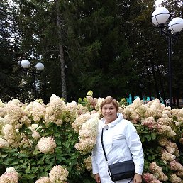 , 65, 