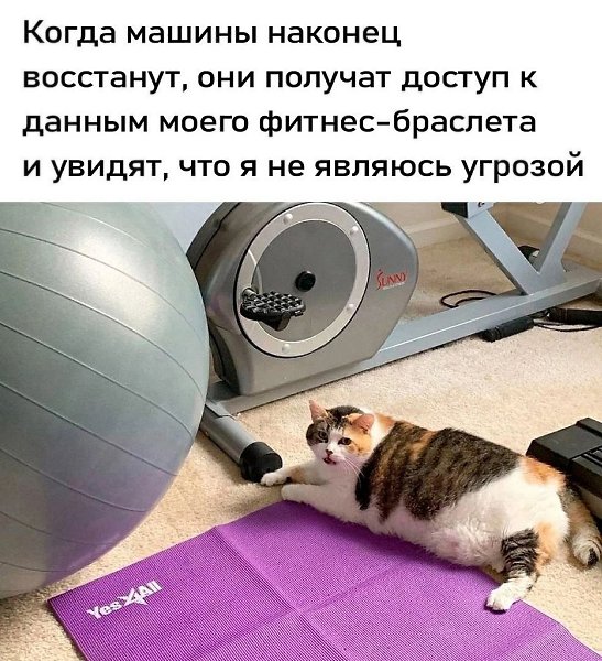  - 24  2025  14:02
