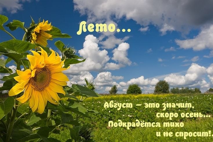 ����� - 1 ������� 2026 � 13:52