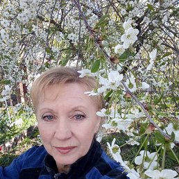 , 59, 