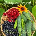 ���� �����, ������ - ��������� 9 ��� 2025 � ������ ������ ��������