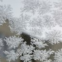 ���� ������, ������, 50 ��� - ��������� 14 ������� 2026