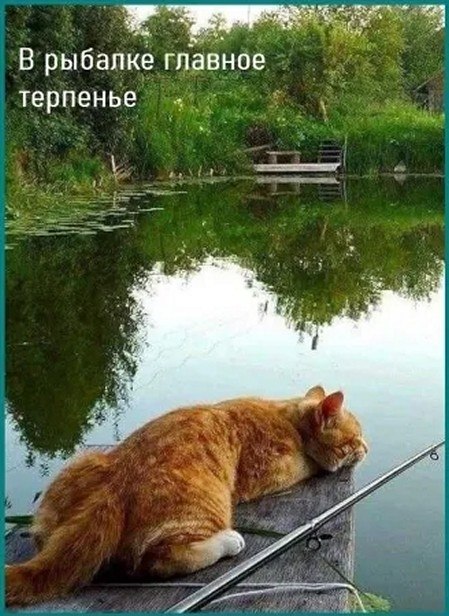 ☆������ �����☆ - 22 ������ 2025 � 20:28