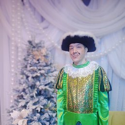 ������, 41 ���, ������������