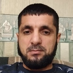 ���, ������, 41 ���