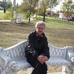 , 61, 