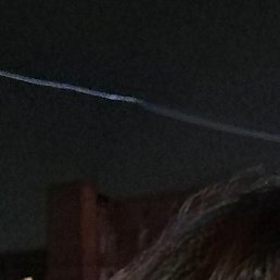 ������, �����, 49 ���