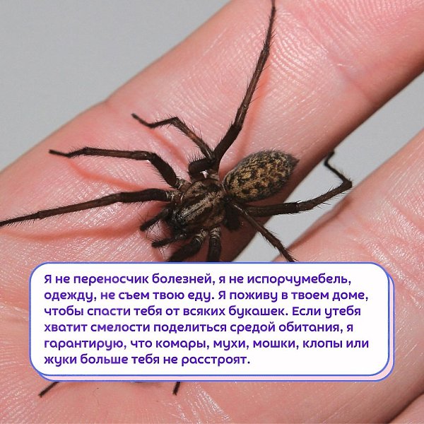 Ec�� ��y����� ������� ����, �����y����, �� ������ ����. - 2