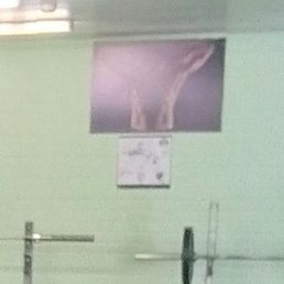 ���������, �������