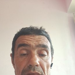 , 41, 