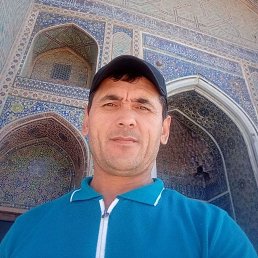 , 37, 