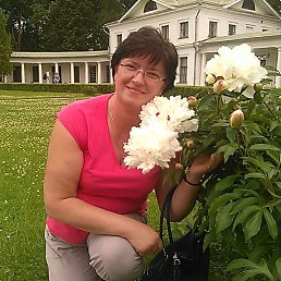 , 58, 