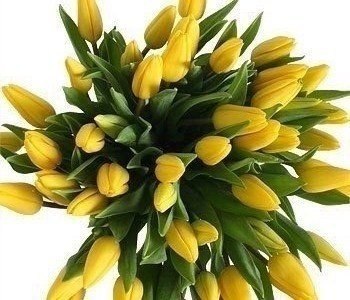 ����� � ������ - 15 ������ 2026 � 12:15 - 2