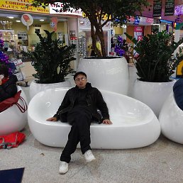 Maxo, �����, 60 ���