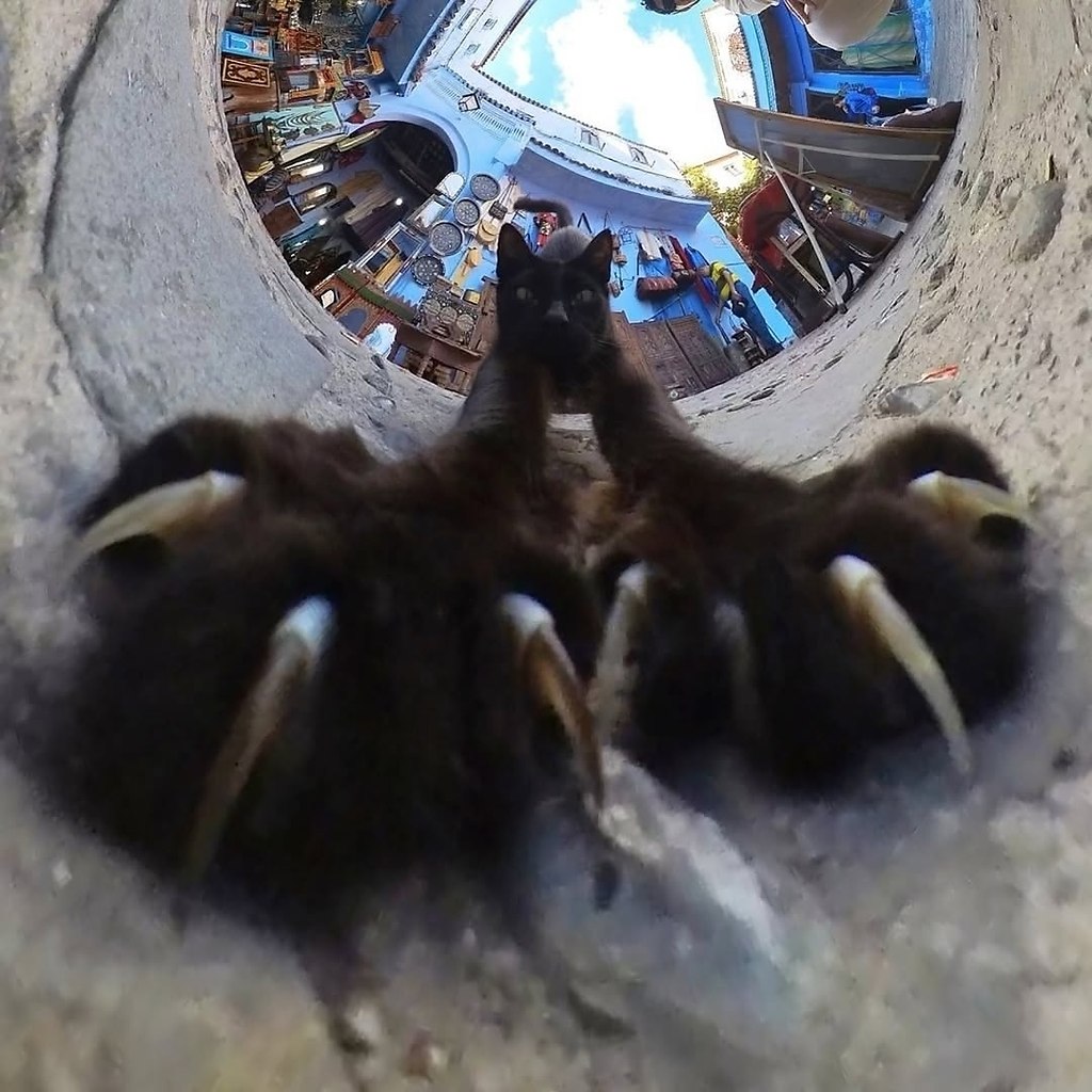 Кто-то осмелится поспорить, что это не самые крутые фотки в интернете? Только попробуйте