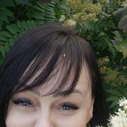 , 44, 