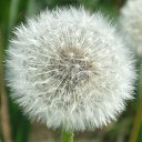 ���� Kotik, �����-��������� - ��������� 23 ������� 2025