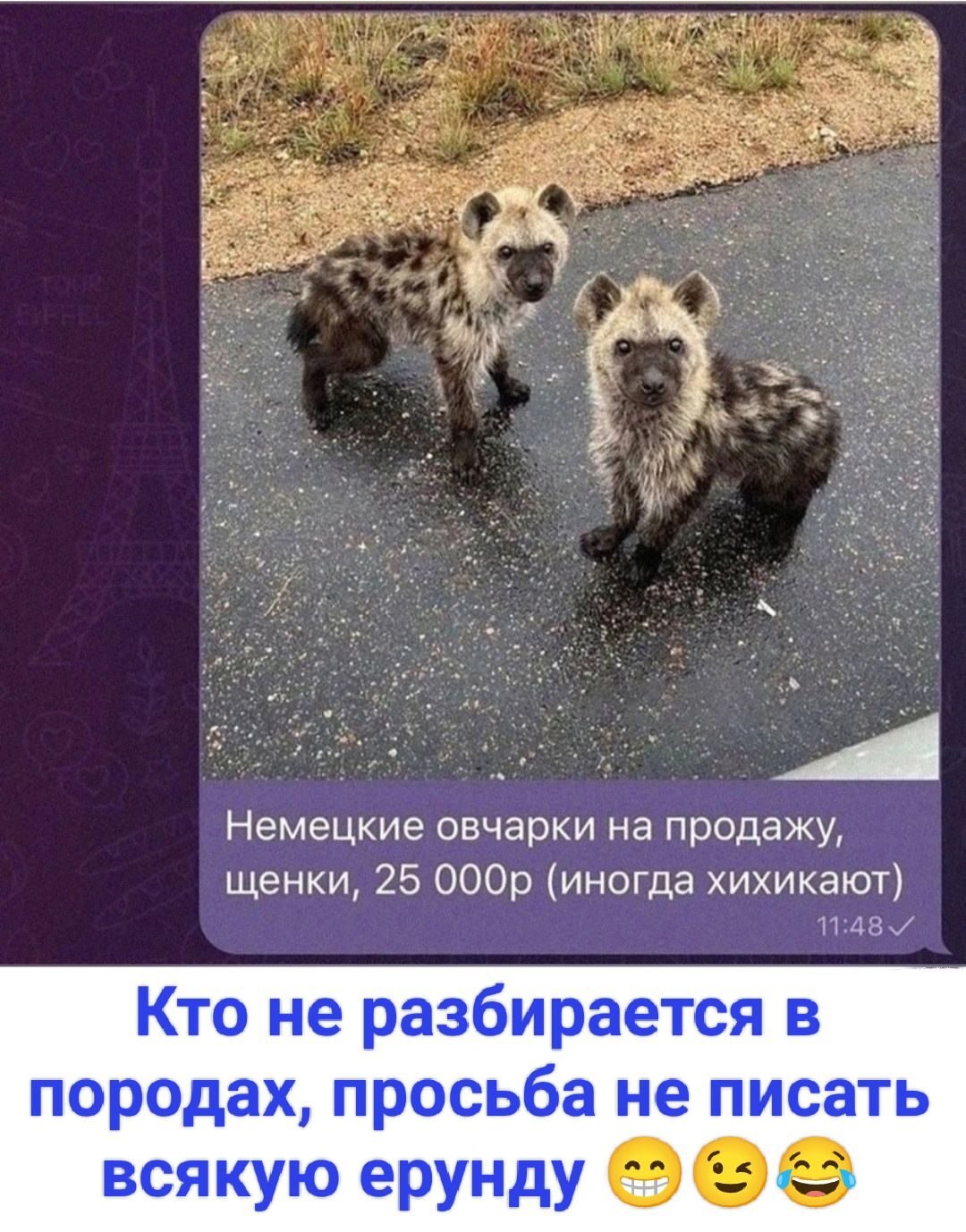 ***Victoria Viktorovna*** - 20  2025  05:33