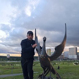  , 39, 