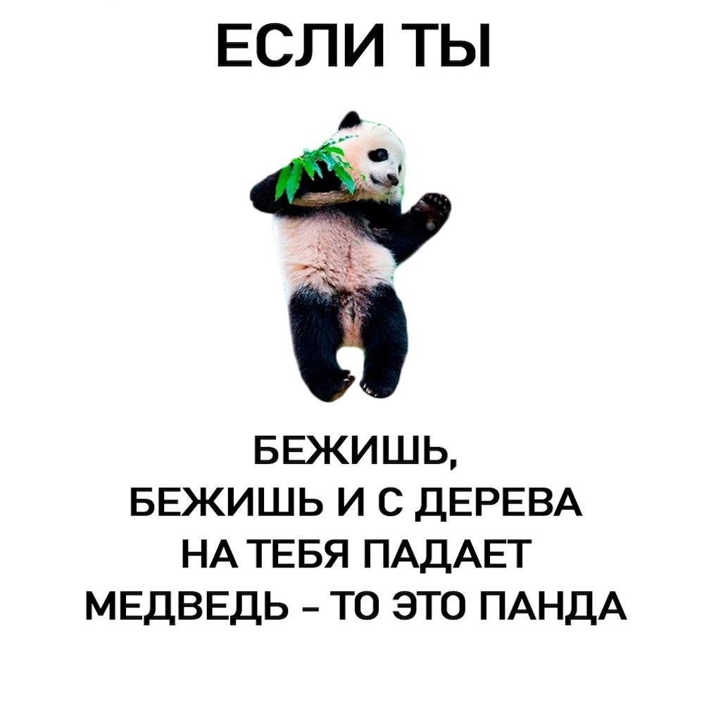 ,    - 5