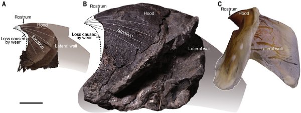 � ������� Science ������������ ������������, ����������� ������� ������� ���������. ������ ... - 3