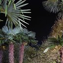 Olja, - -  17  2024    2023