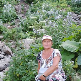 Татьяна, 59, Сочи