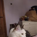 ���� �������, ������, 50 ��� - ��������� 23 ������ 2026 � ������ ���� ����������