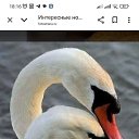 ���� ���, ������, 86 ��� - ��������� 21 �������� 2025