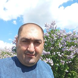 , 37, 