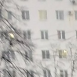 ������, �������, 67 ���